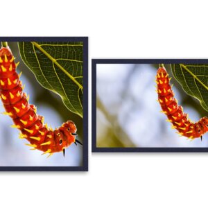 Hanging in There Caterpillar