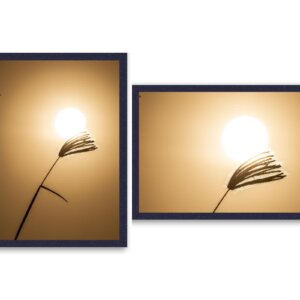 The Lonely Golden Grass